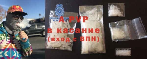 ПСИЛОЦИБИНОВЫЕ ГРИБЫ Нея