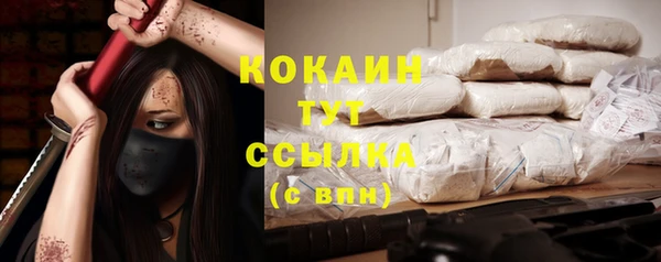шишки Нефтегорск