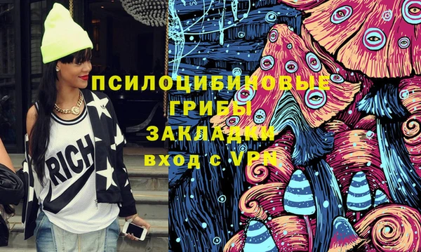 каннабис Новозыбков