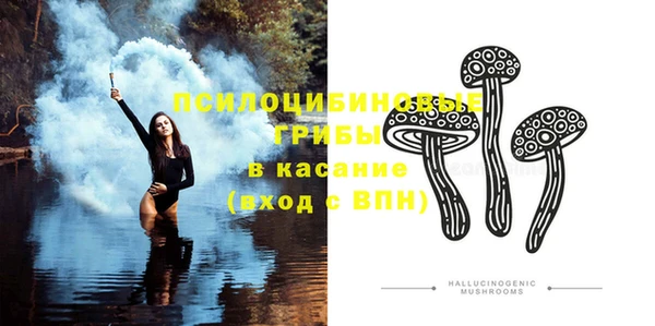 ПСИЛОЦИБИНОВЫЕ ГРИБЫ Нея
